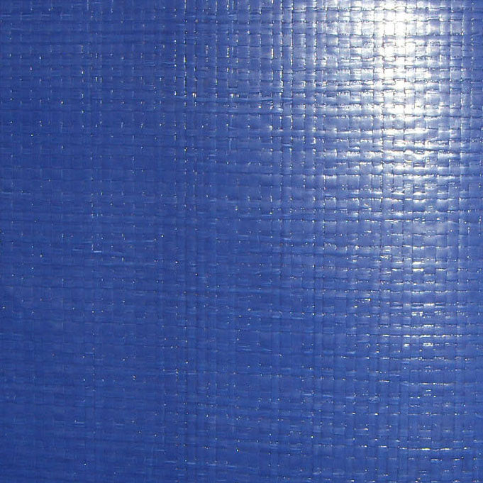 Polyethylene Fabric